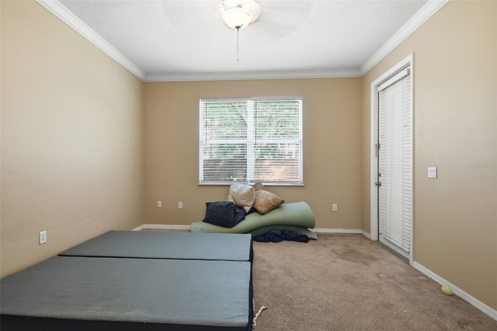 929 Lascala Dr Property Photo 21