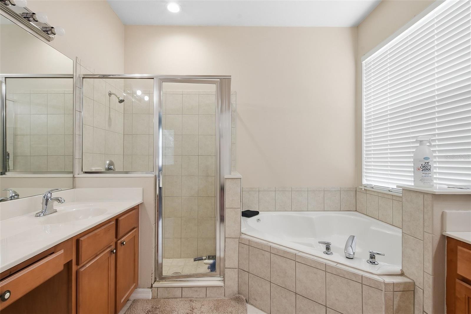 929 Lascala Dr Property Photo 27