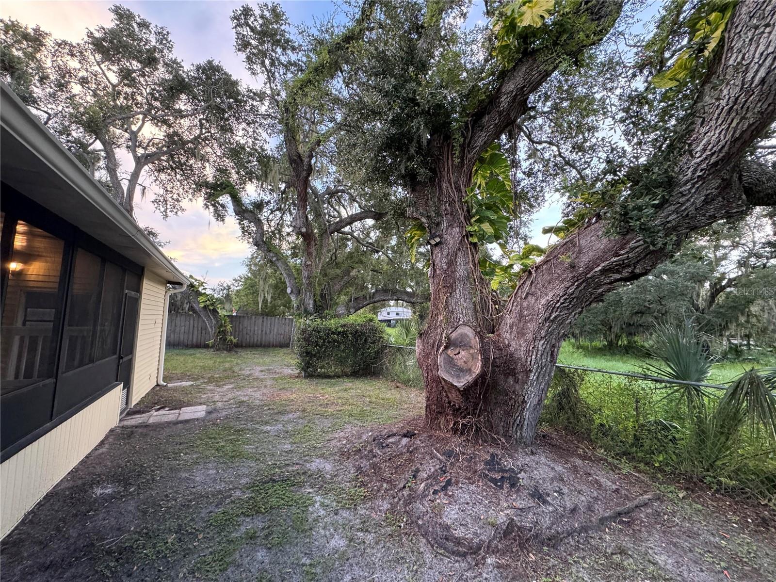 8801 Marc David Property Photo 16