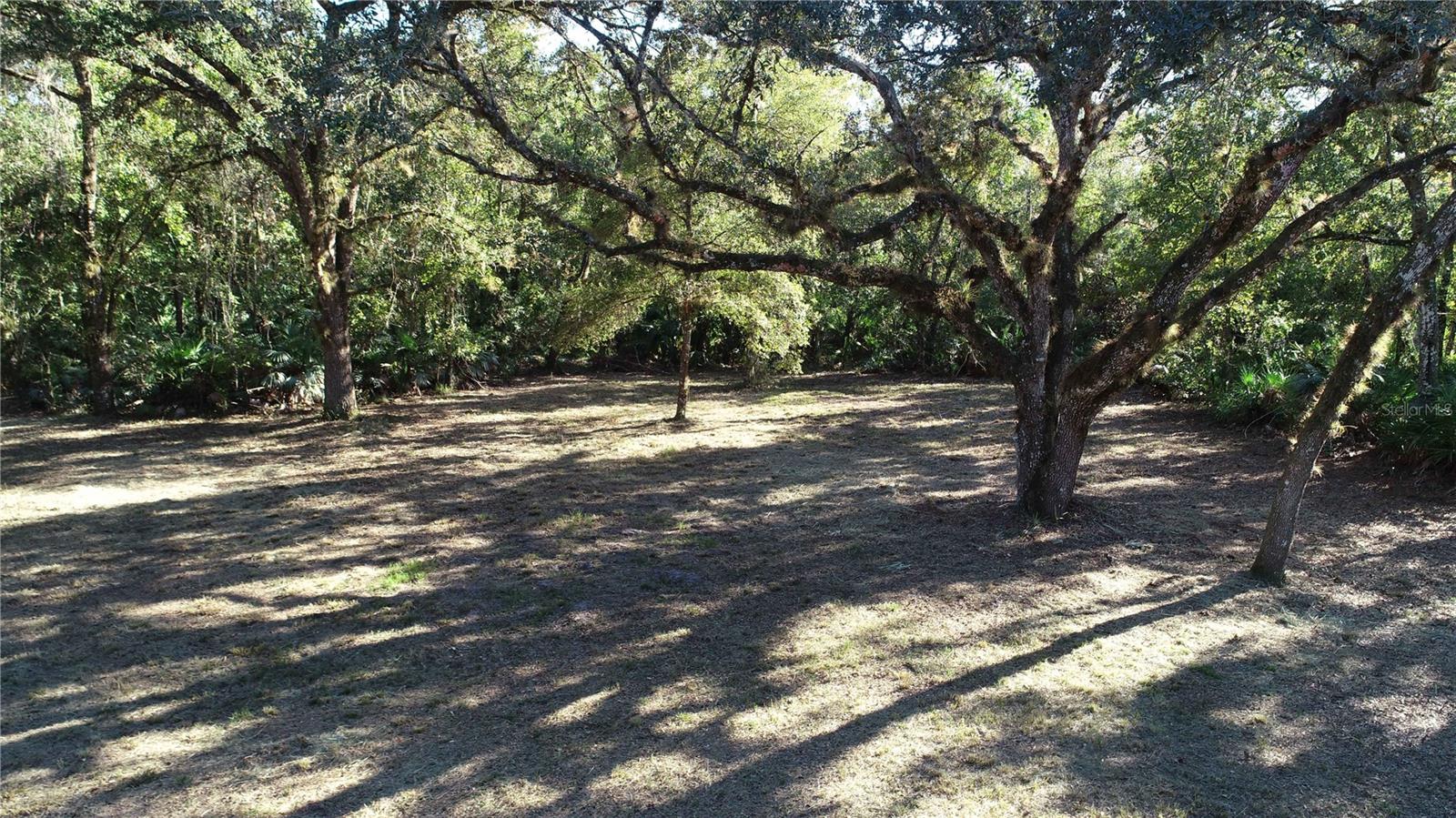 S COUNTY ROAD 13 Property Photo 1