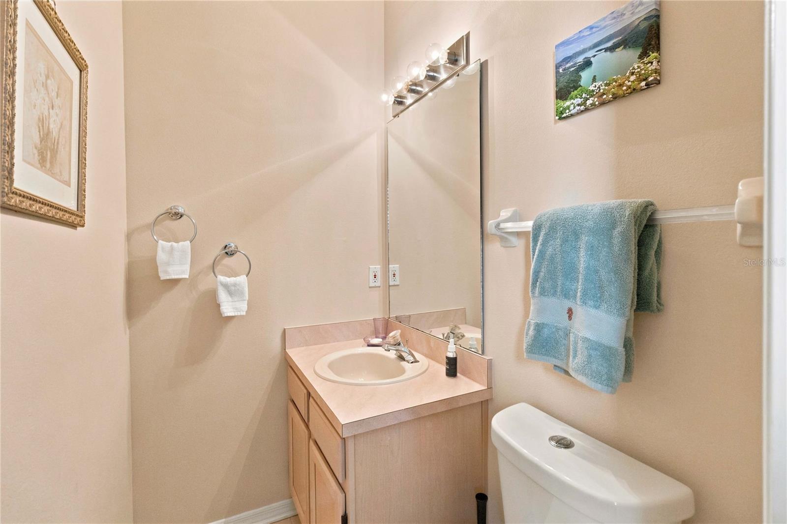 2524 Raccoon Run Ln Property Photo 21