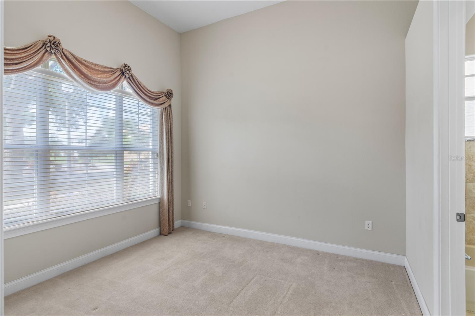 7014 Phillips Cove Ct #27 Property Photo 38