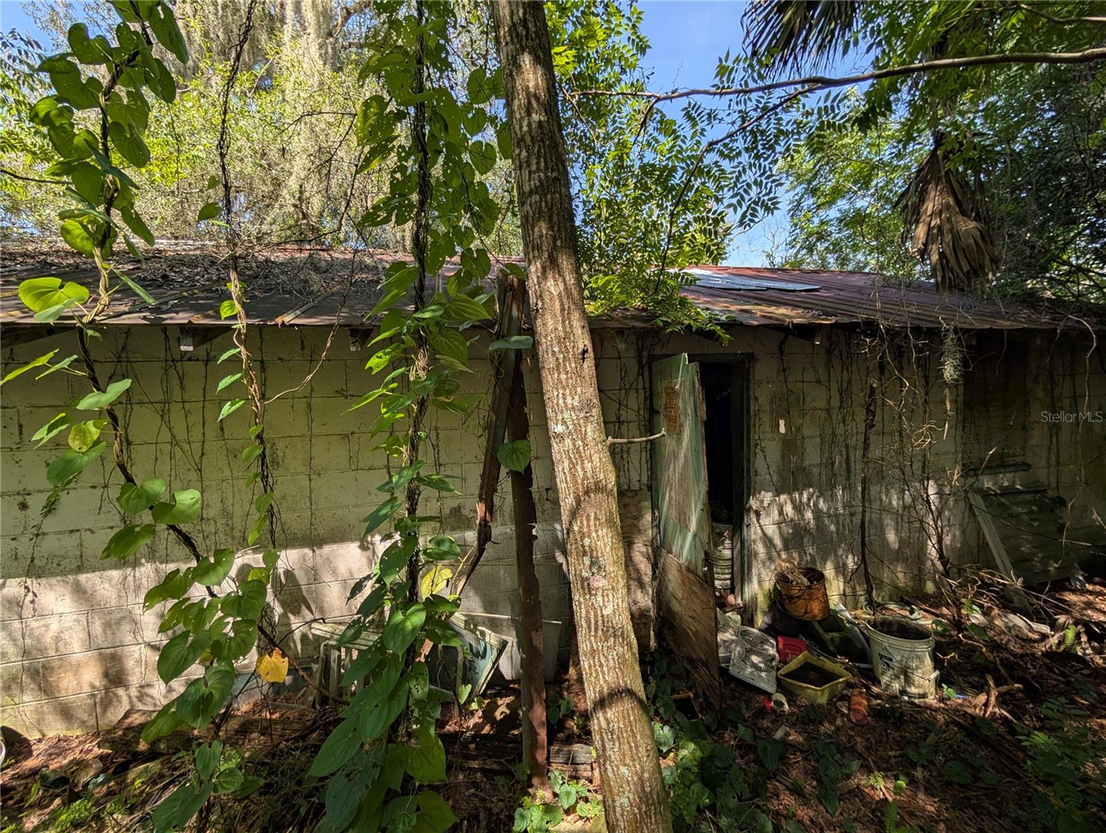 700 Grant Ave Property Photo 11