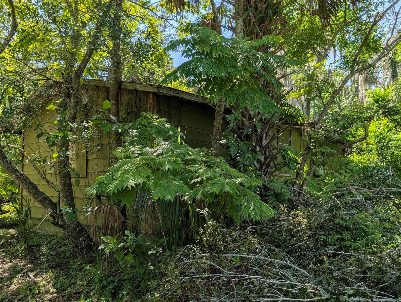 700 Grant Ave Property Photo 12