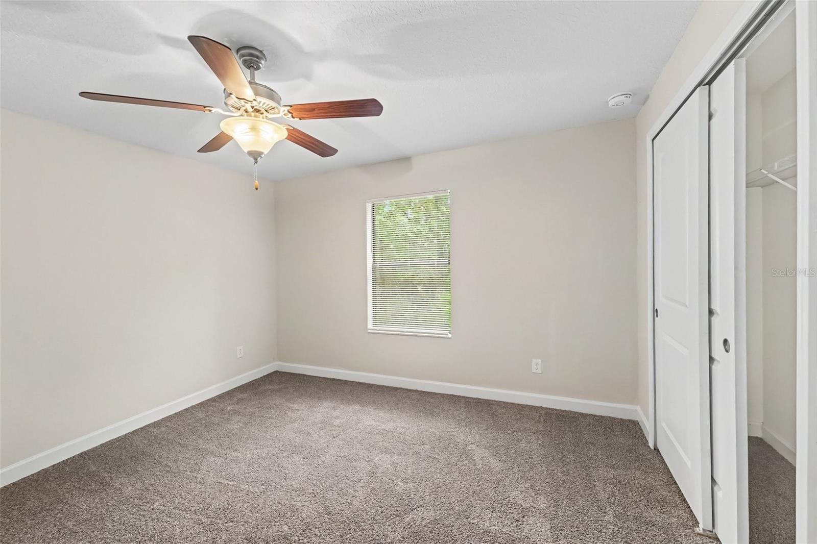 17335 Old Tobacco Rd Property Photo 15