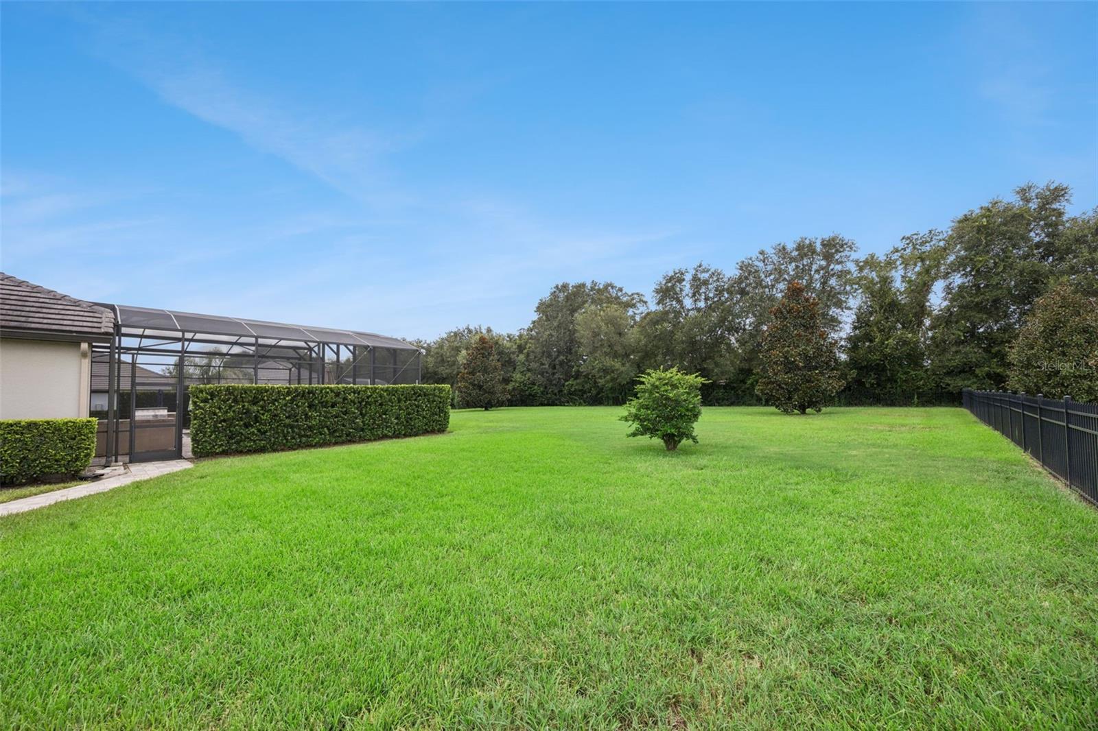 25874 Crossings Bluff Ln Property Photo 35