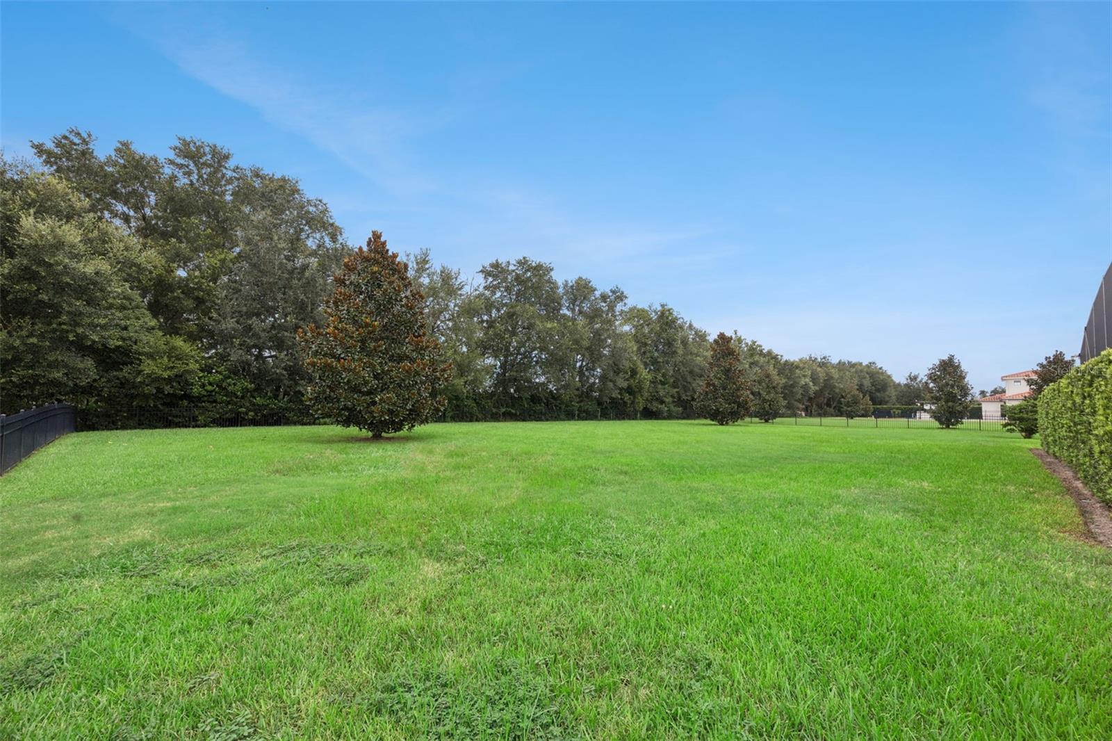 25874 Crossings Bluff Ln Property Photo 36