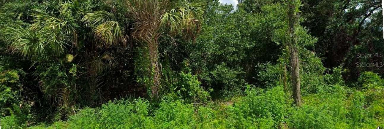Jinright Rd Property Photo 2