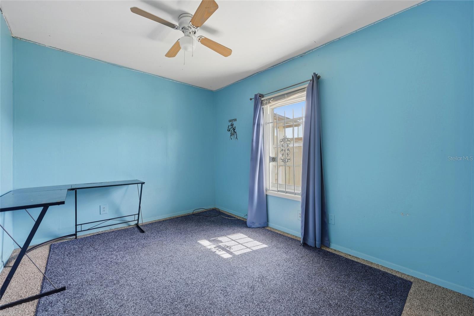 307 Lemon St Property Photo 13