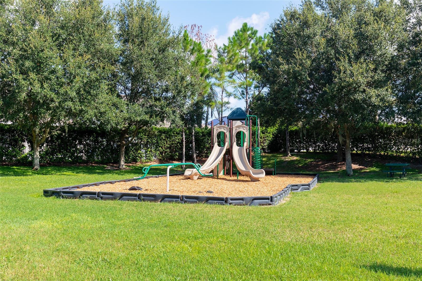 995 Karst Tree Ln Property Photo 33
