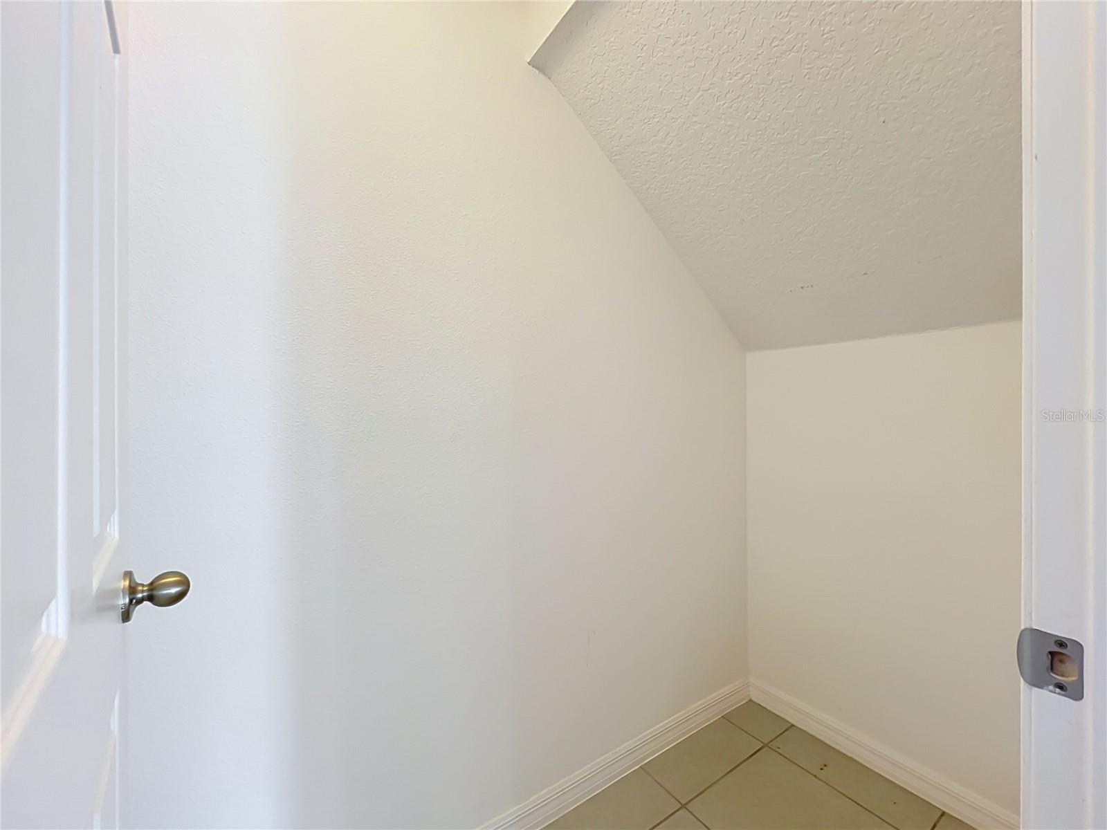 2193 Sedge Grass Way Property Photo 41