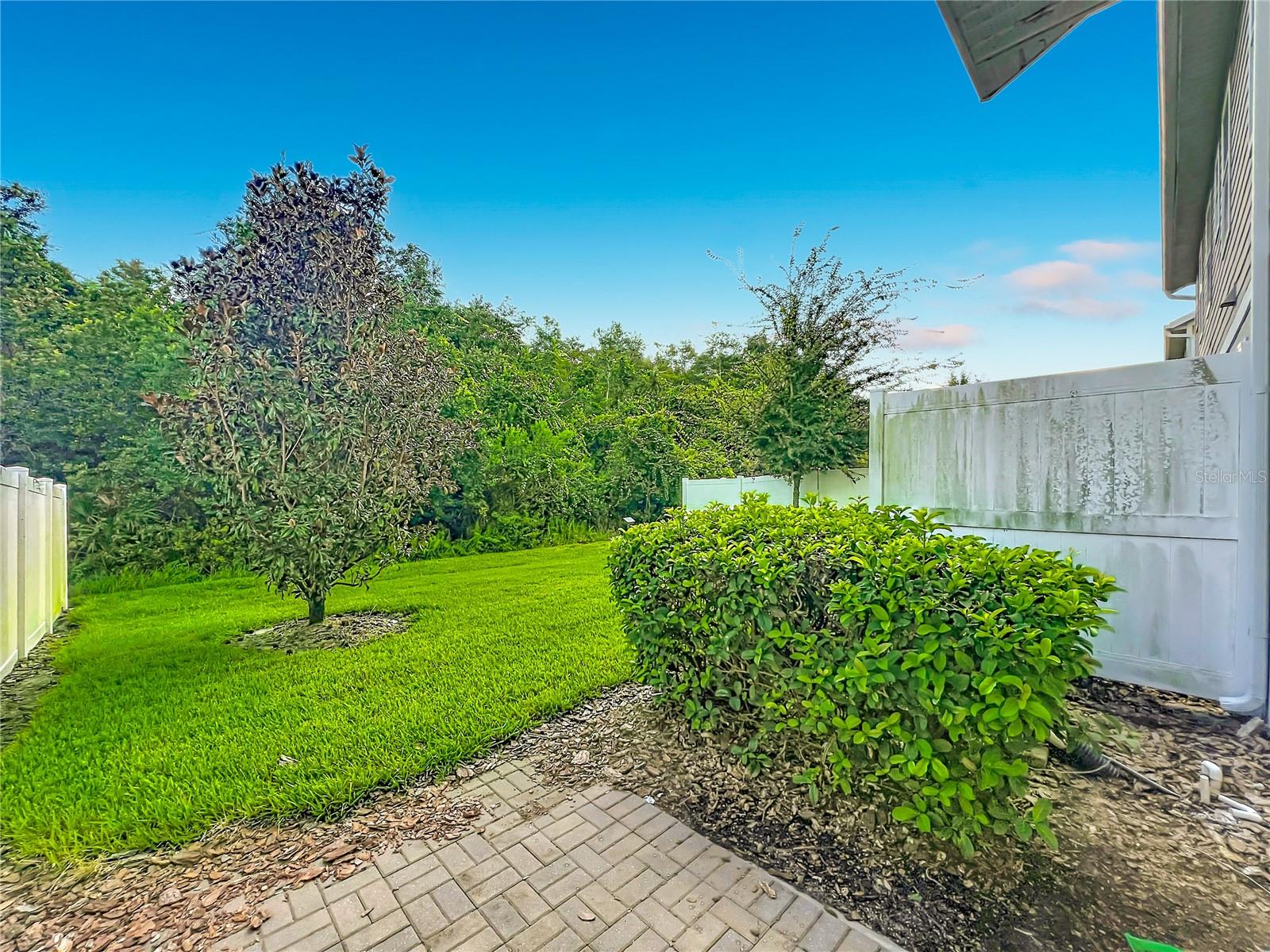 2193 Sedge Grass Way Property Photo 46