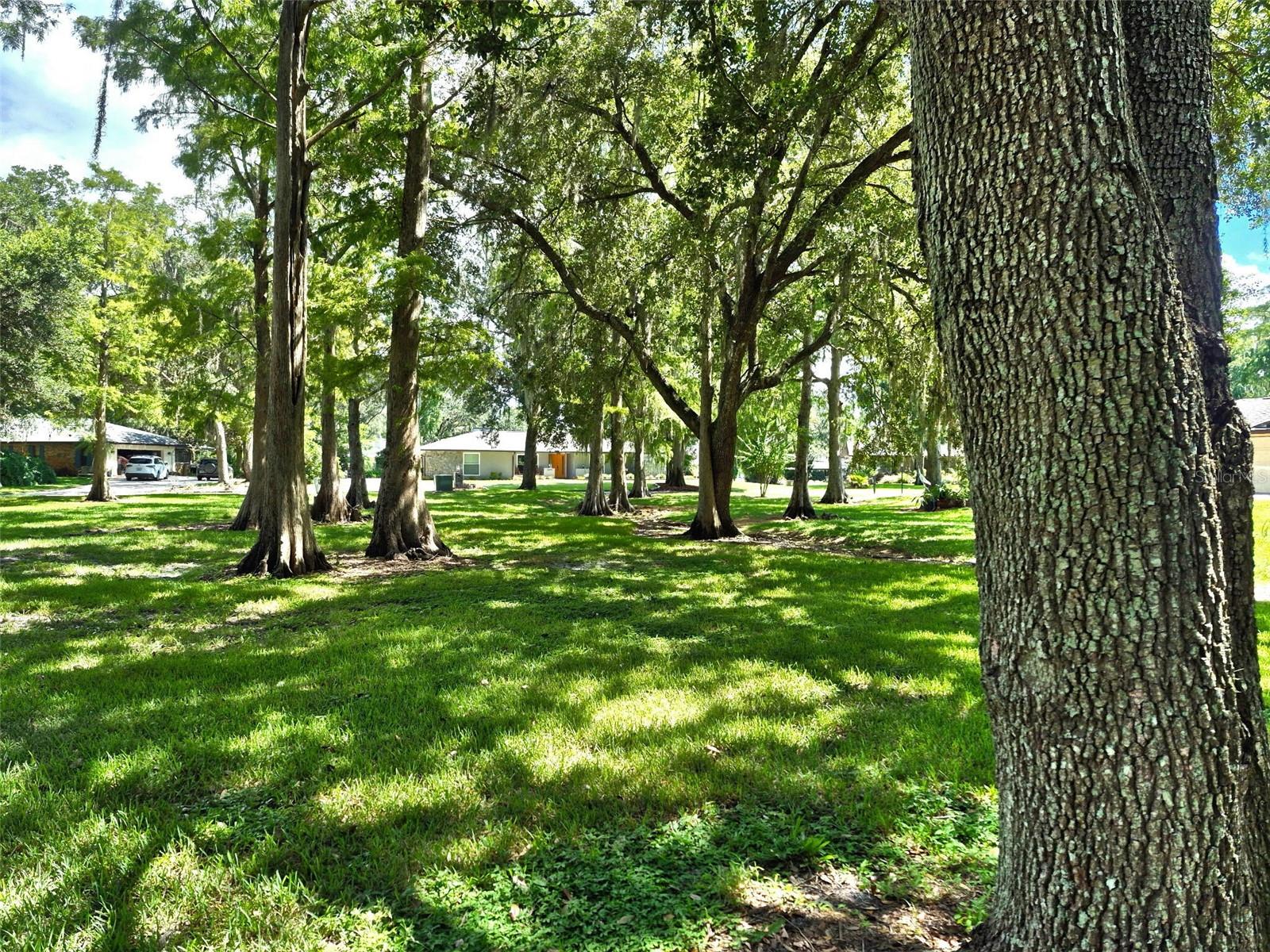 5370 Whispering Pine Cir Property Photo 48