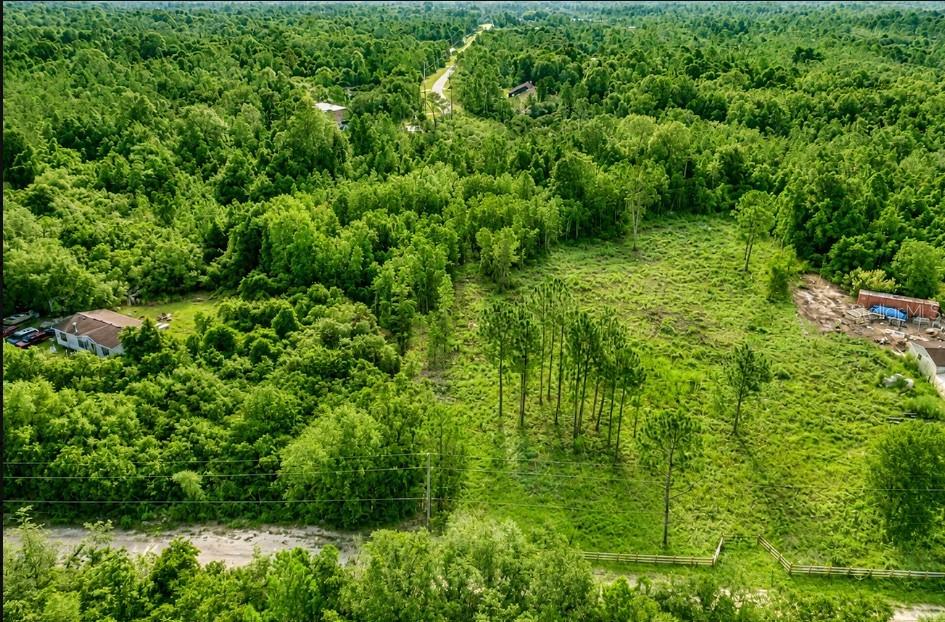 43718 Cooter Pond Rd Property Photo 5