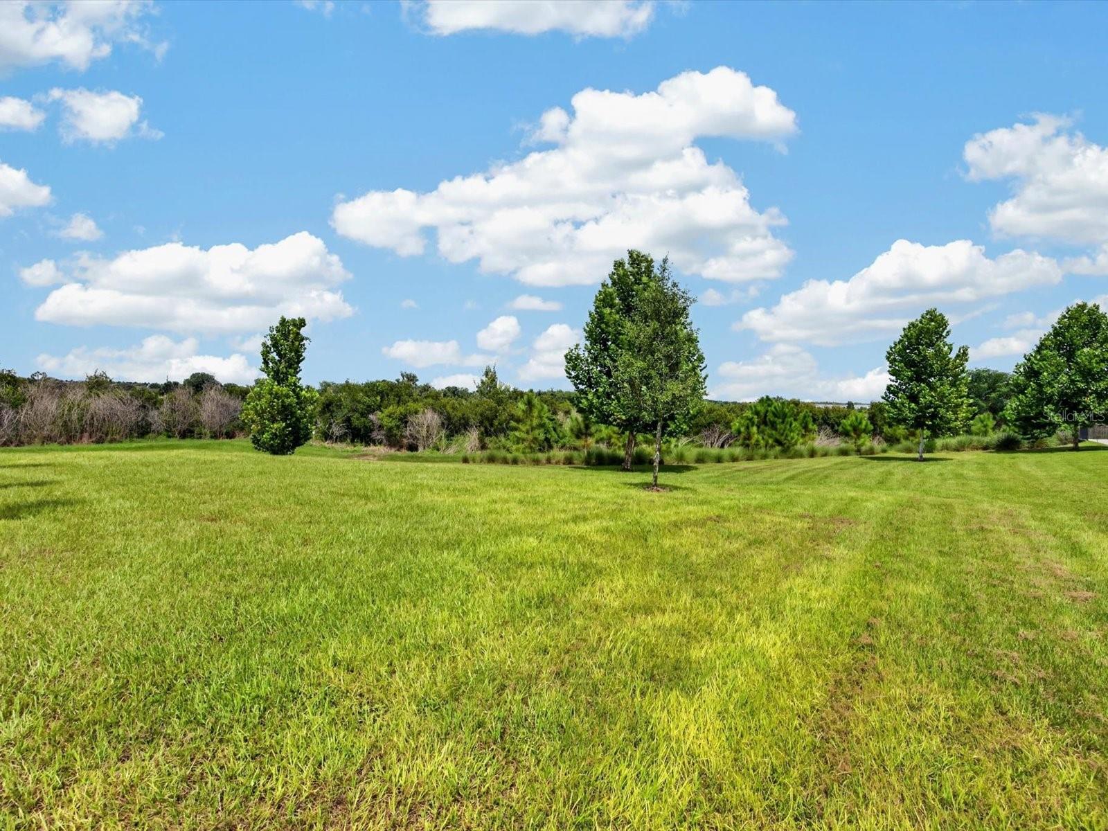 6982 Twilight Bay Dr Property Photo 40