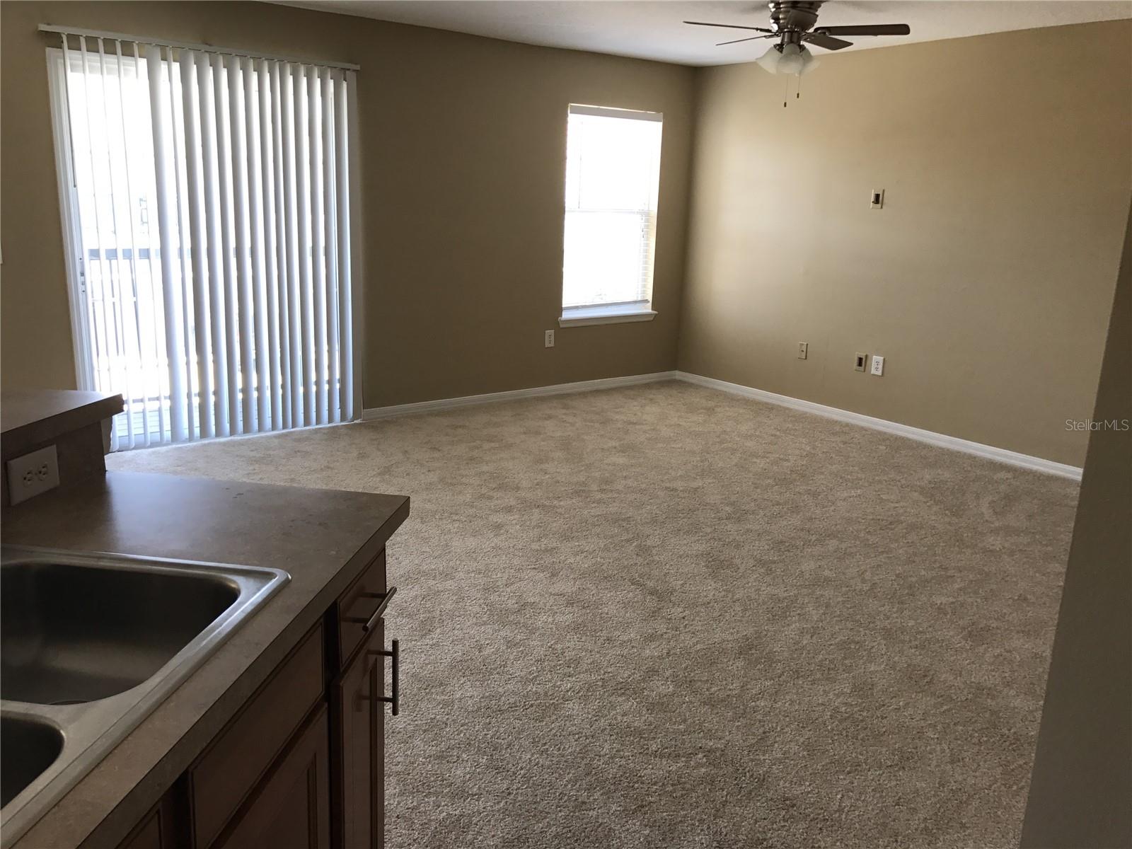4020 Pemberly Pines Cir Property Photo 9