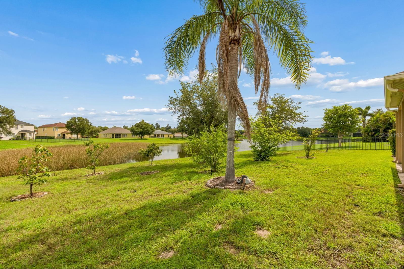 5406 Sandy Shell Dr Property Photo 4