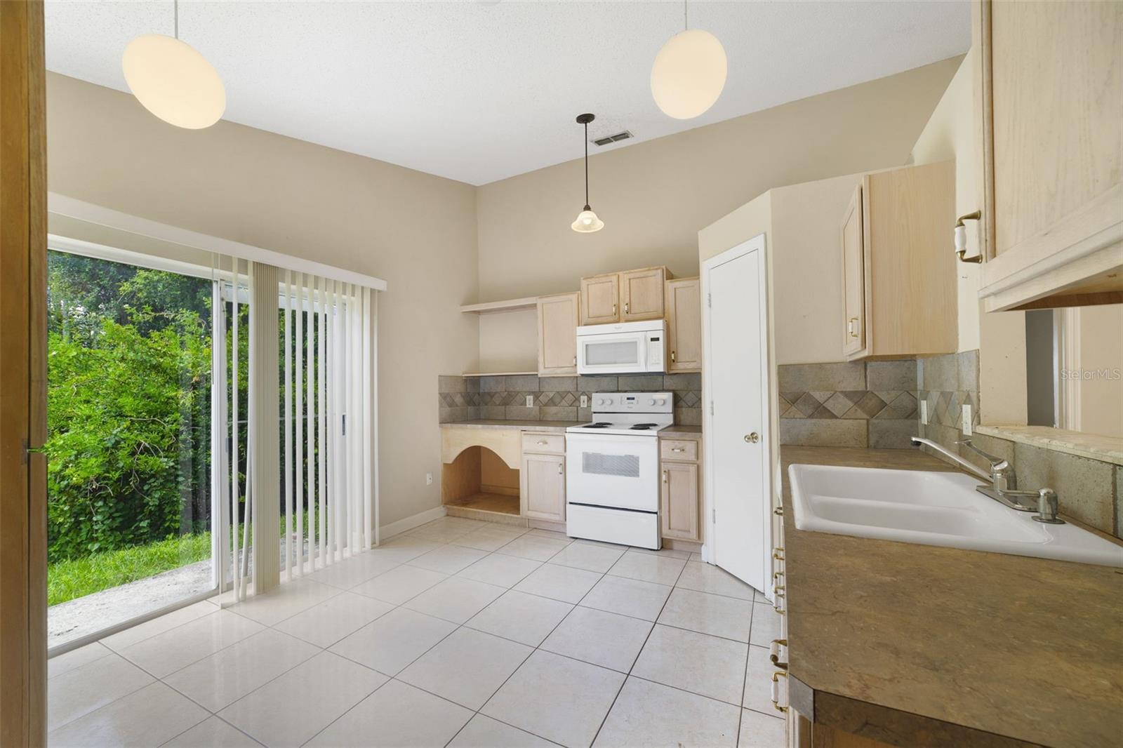 13142 Odyssey Lake Way Property Photo 6