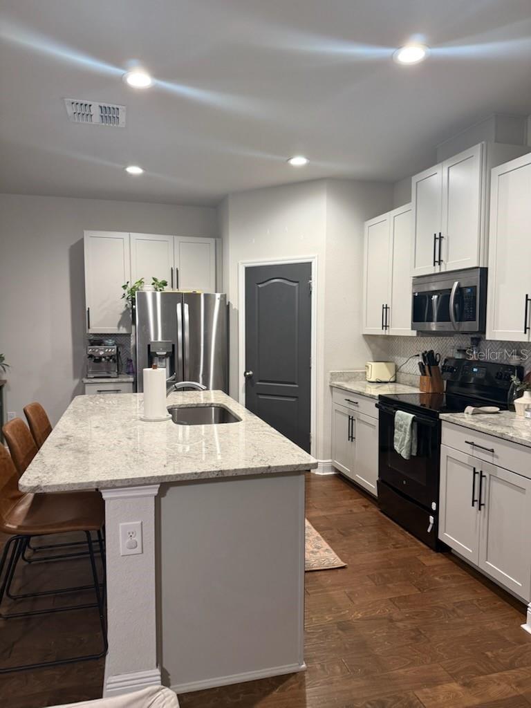 17420 Painted Leaf Way Property Photo 5