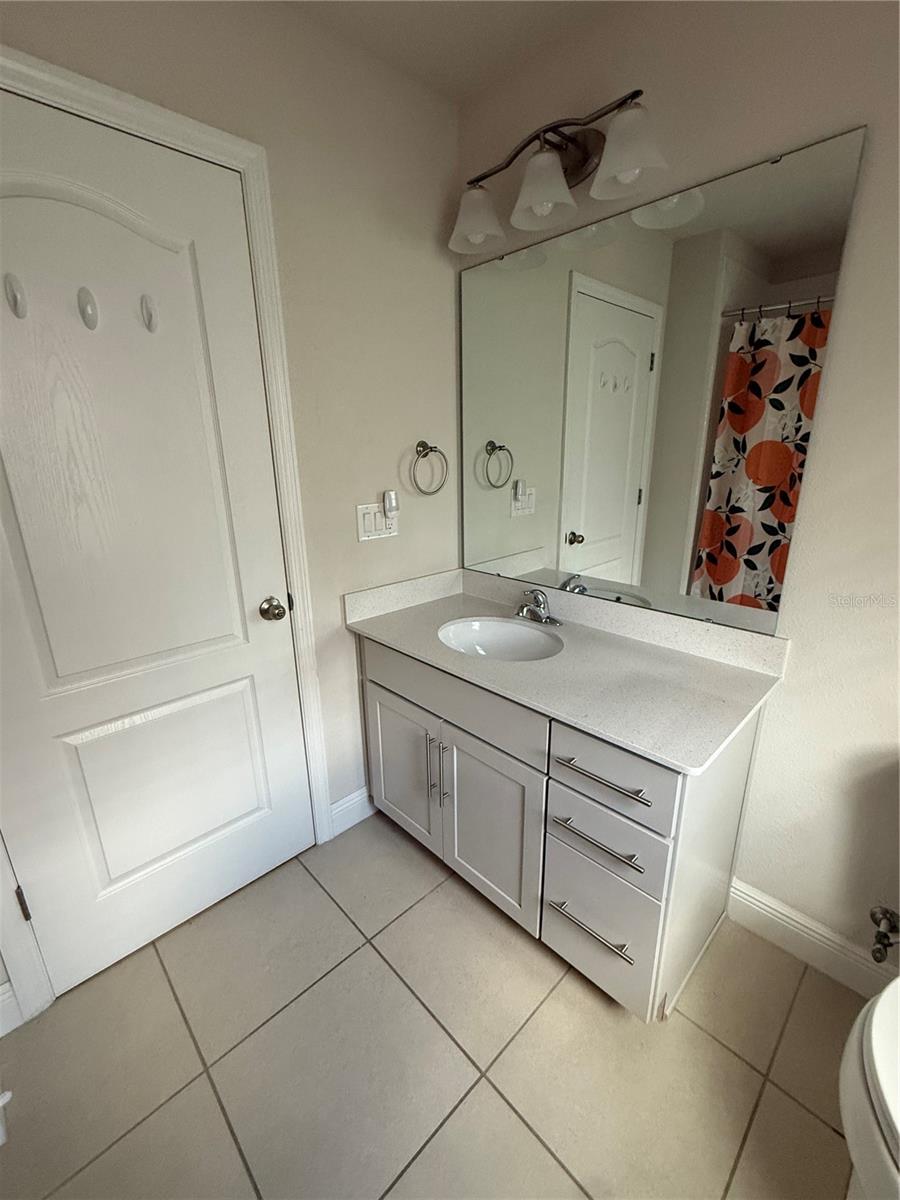 17420 Painted Leaf Way Property Photo 17