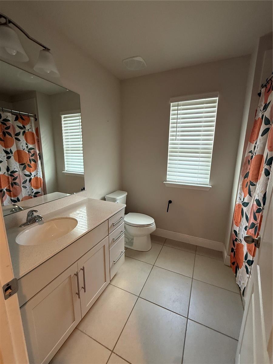 17420 Painted Leaf Way Property Photo 18