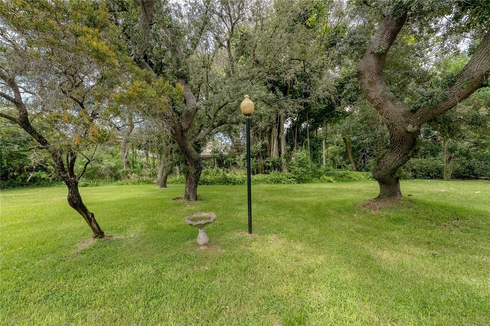 7141 Wooded Village Ln Property Photo 51