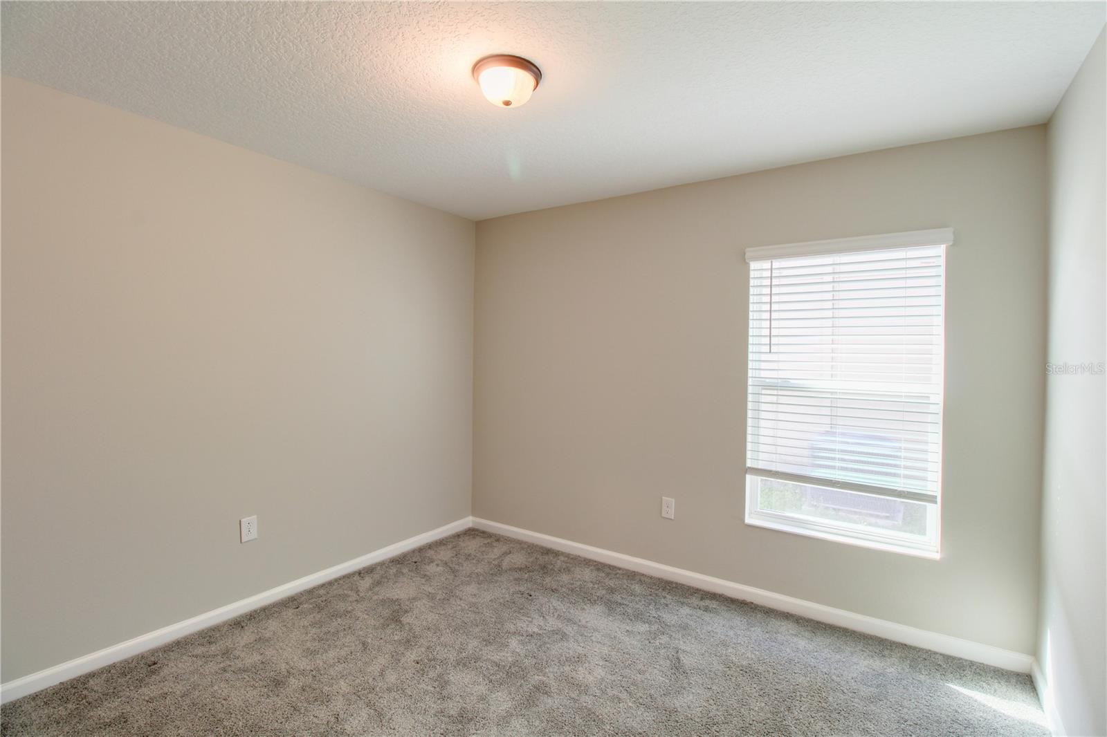 2873 Black Birch Dr Property Photo 8