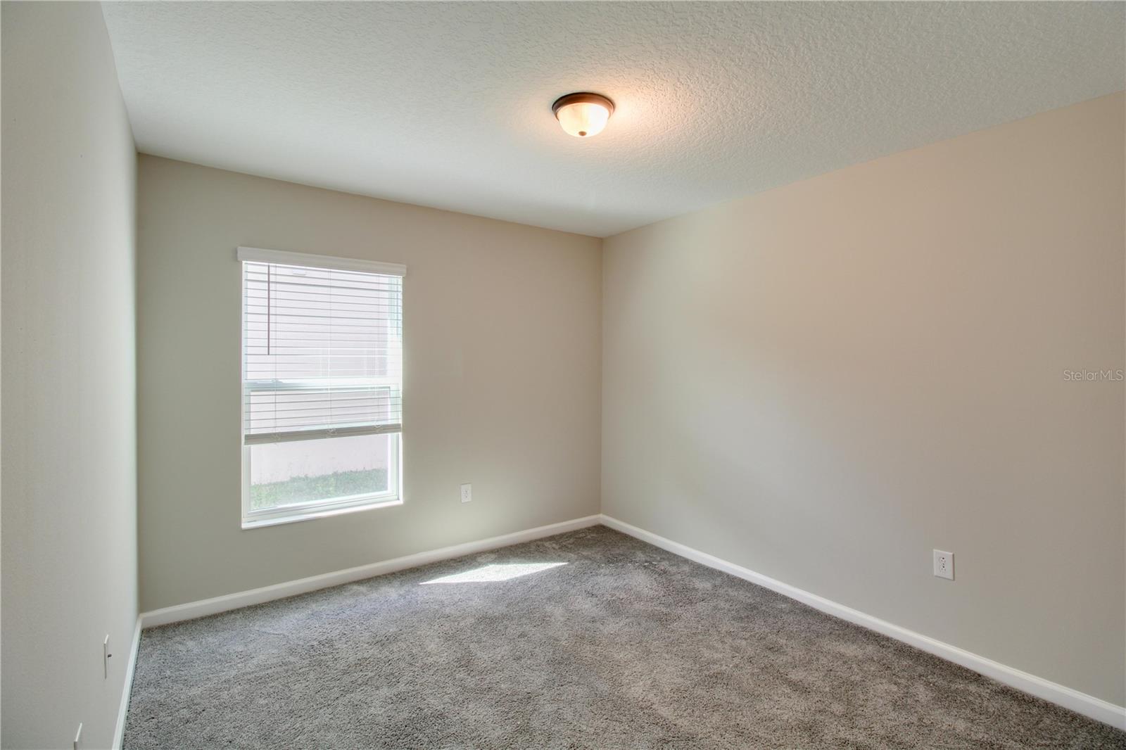 2873 Black Birch Dr Property Photo 9