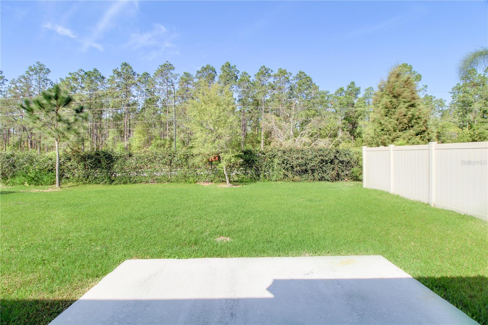 2873 Black Birch Dr Property Photo 18
