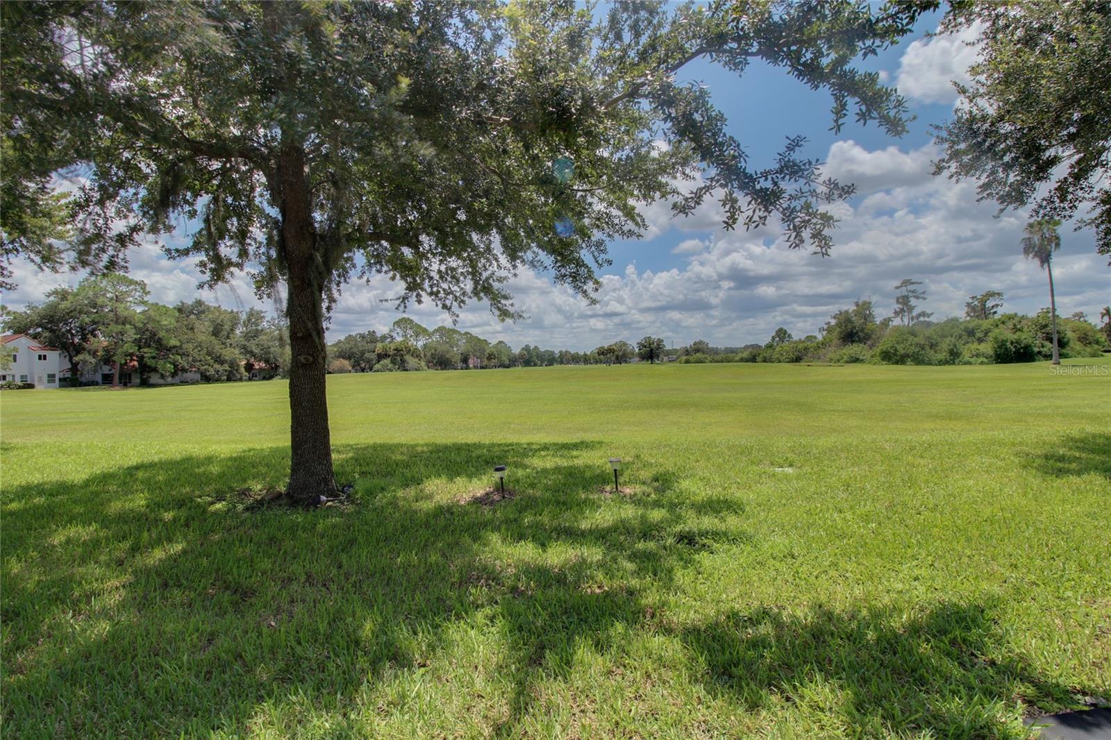 20626 Maxim Pkwy Property Photo 25
