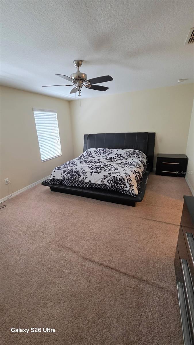 2746 Hampton Green Ln Property Photo 13
