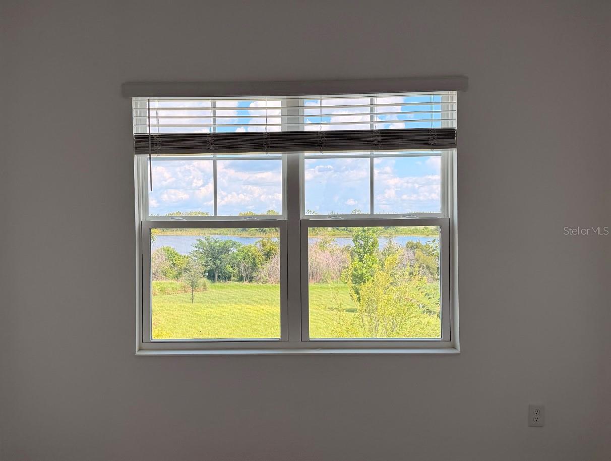 7036 Bolanzo Aly Property Photo 11