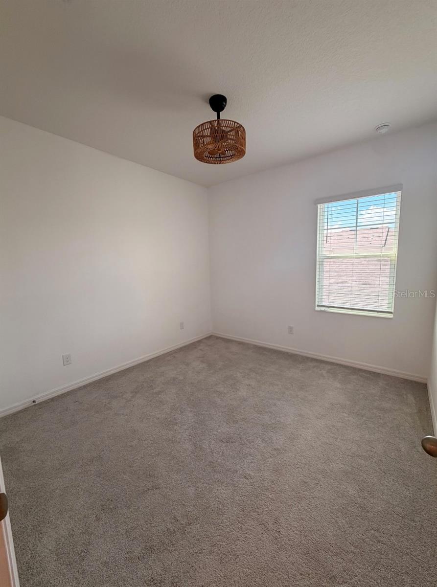 7036 Bolanzo Aly Property Photo 13