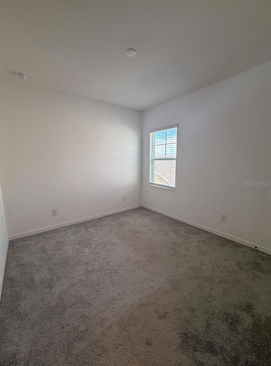 7036 Bolanzo Aly Property Photo 14