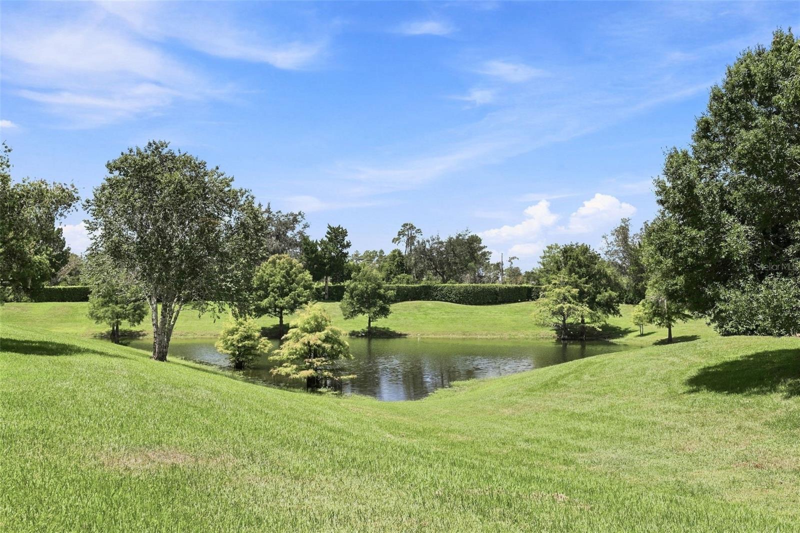 437 Sotheby Way Property Photo 4