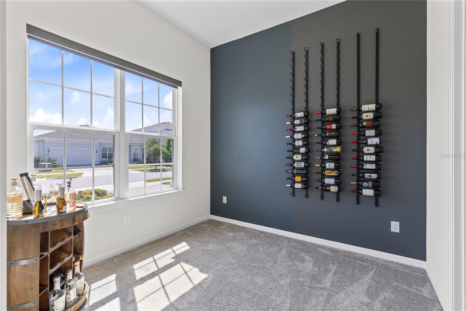 13828 Tybee Beach Ln Property Photo 23