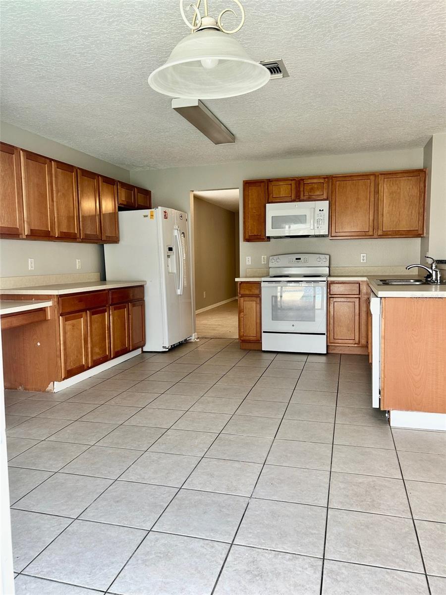 1244 Ocklawaha Dr Property Photo 4