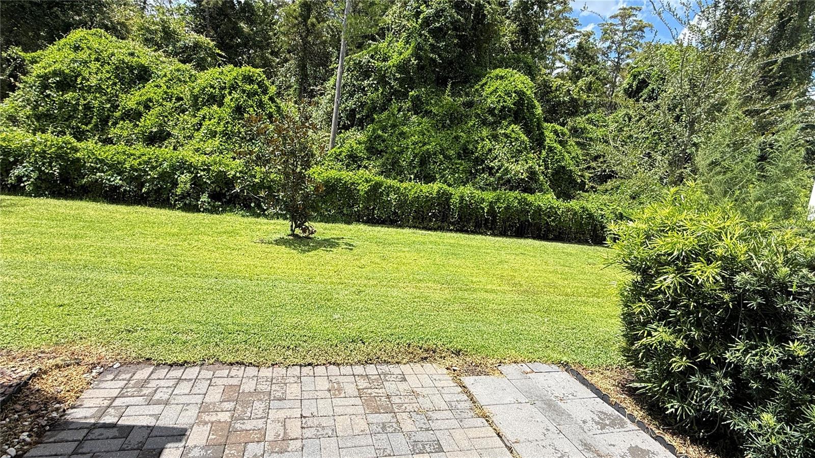 4420 Gumbo Limbo Dr Property Photo 21