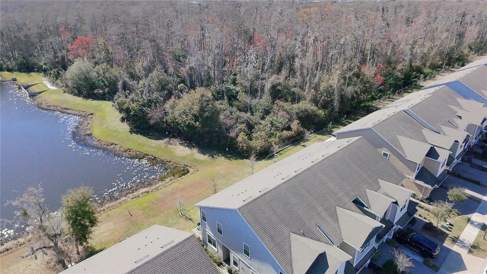 4420 Gumbo Limbo Dr Property Photo 31