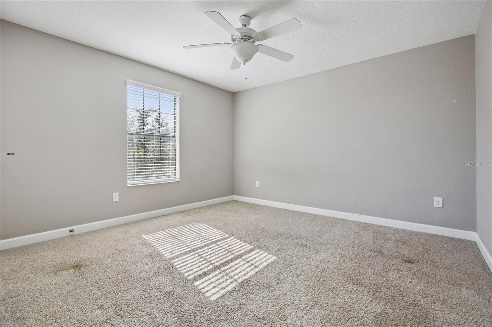 7618 Bluejack Oak Dr Property Photo 19