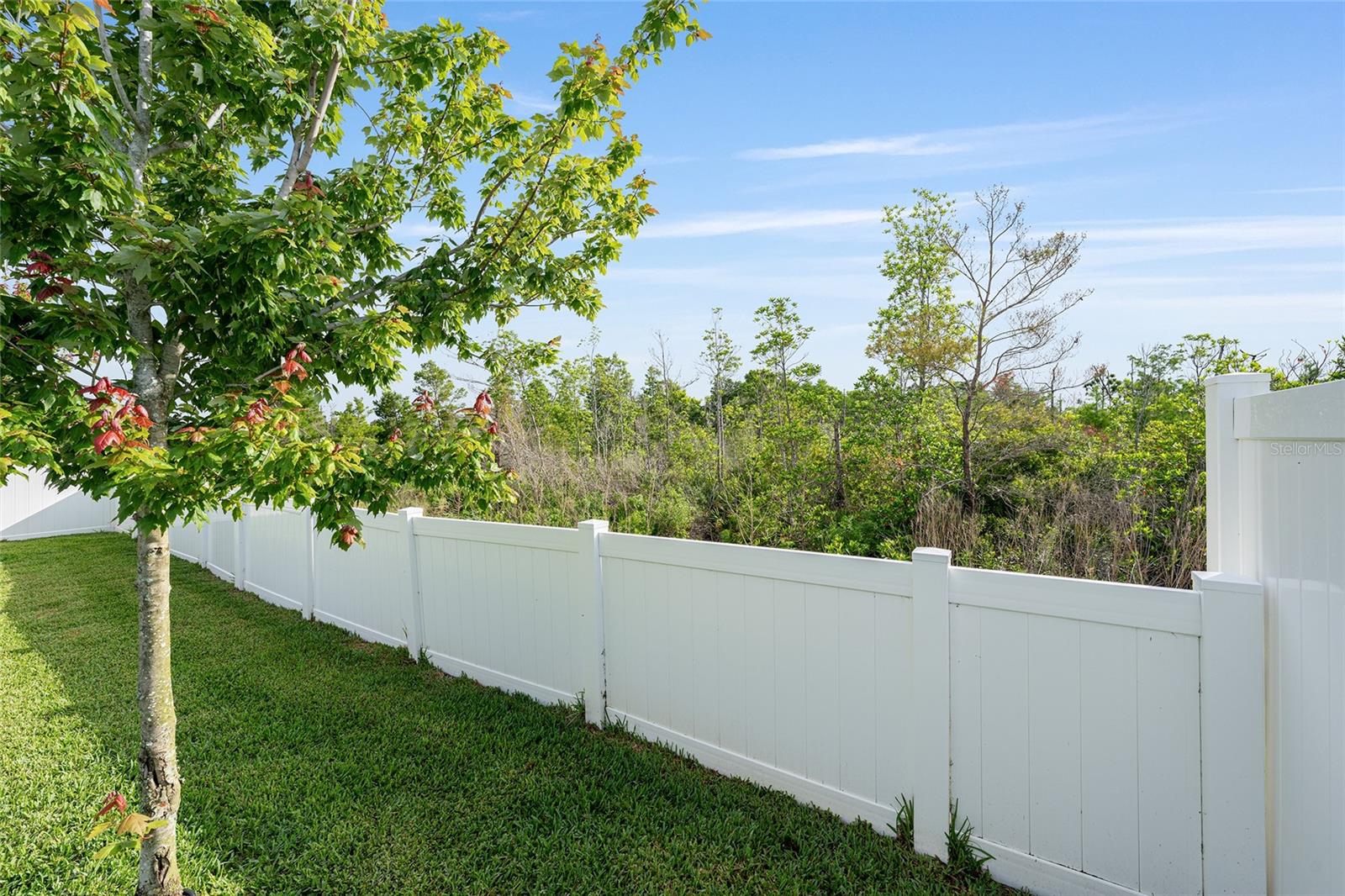 2694 Neverland Dr Property Photo 46