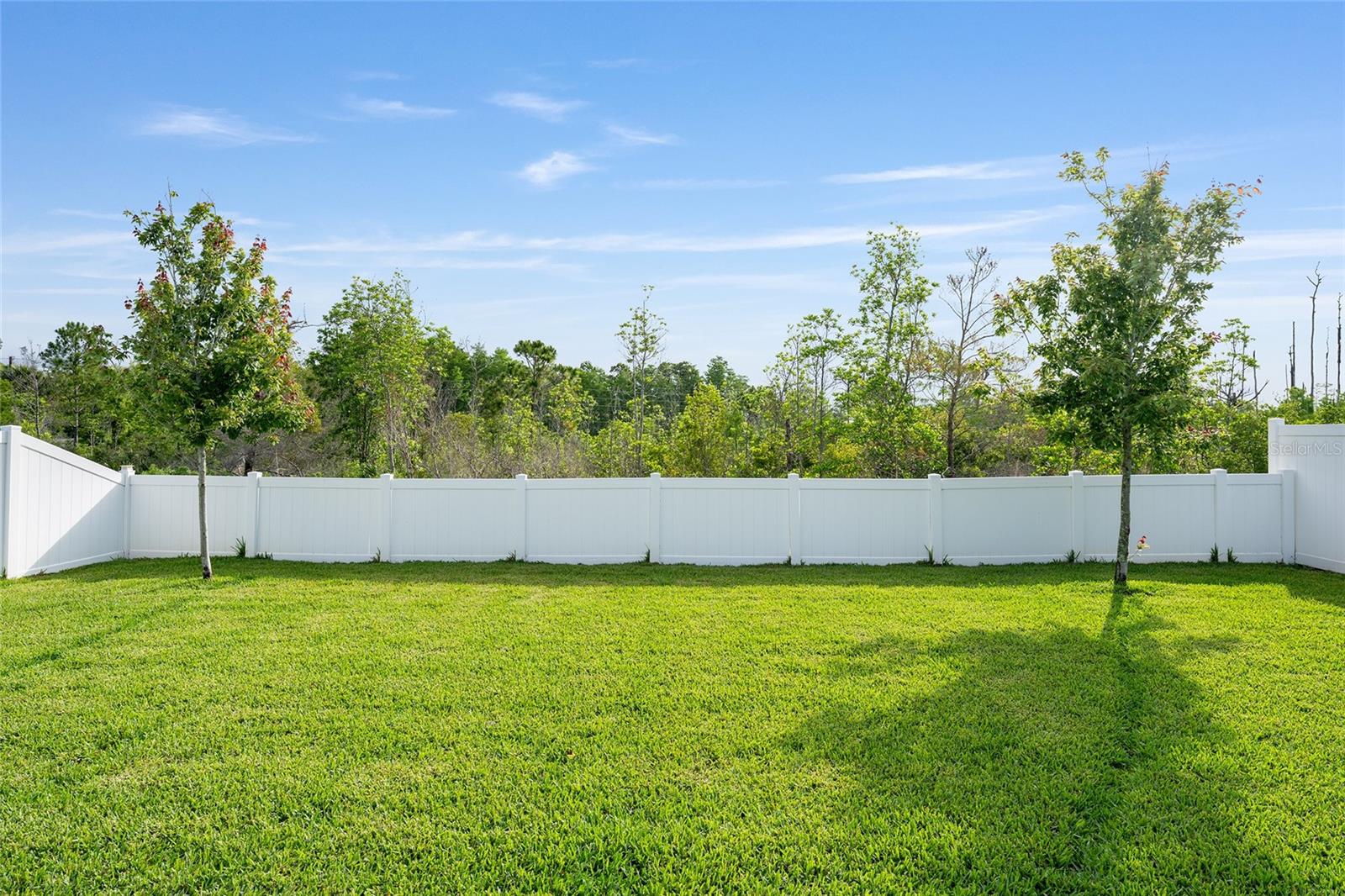 2694 Neverland Dr Property Photo 48