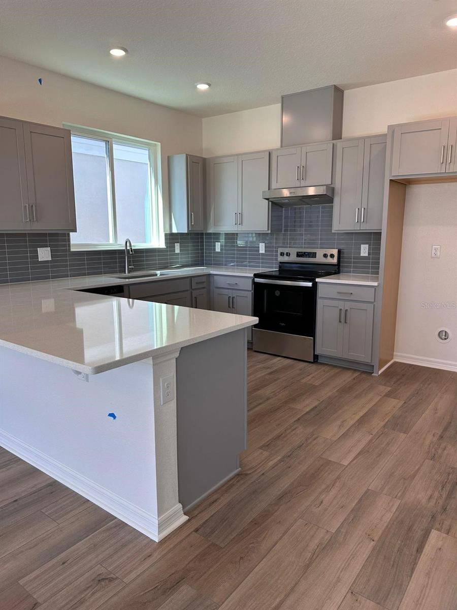 16553 Brook Isle Way Property Photo 4