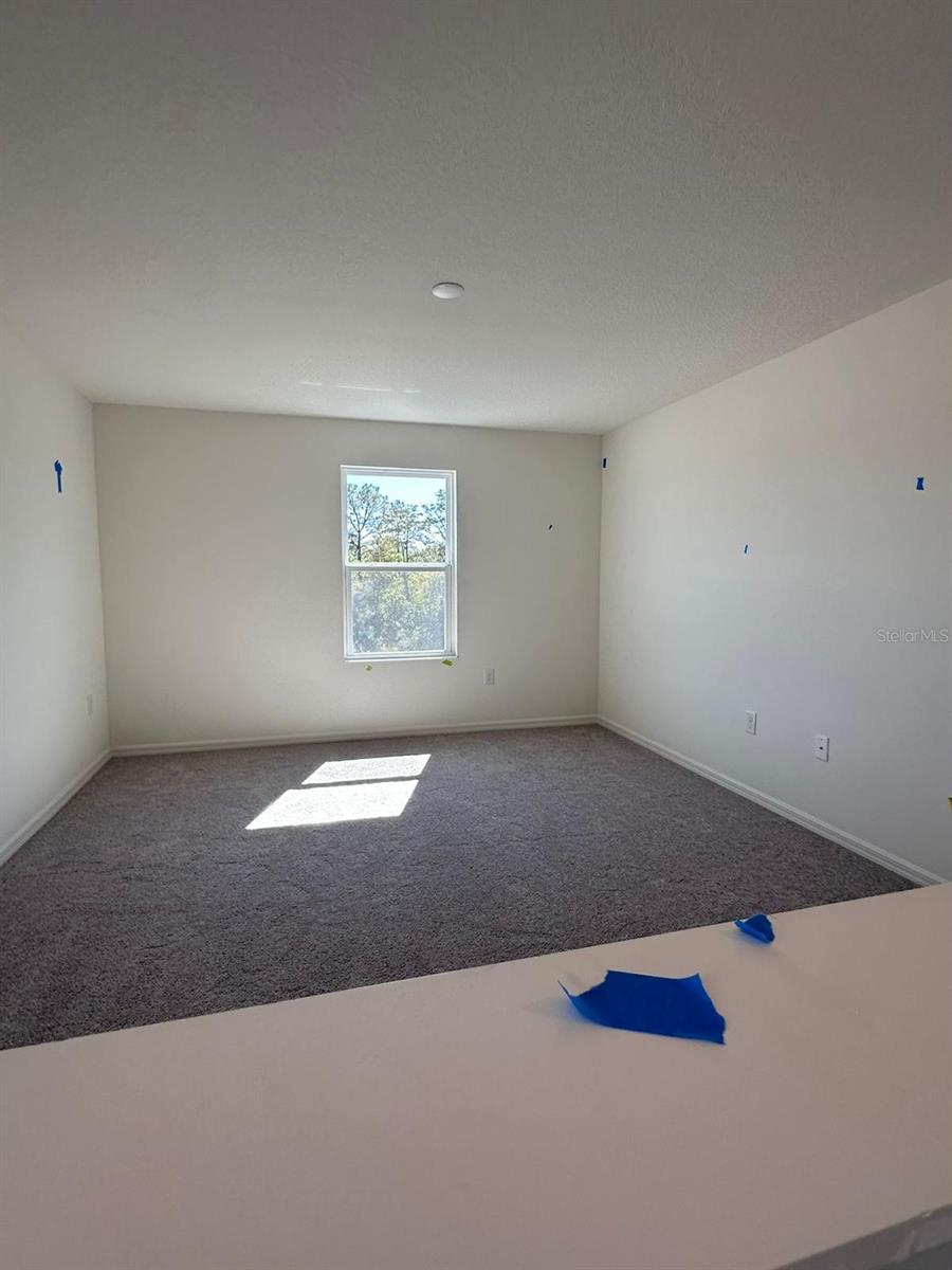 16553 Brook Isle Way Property Photo 7