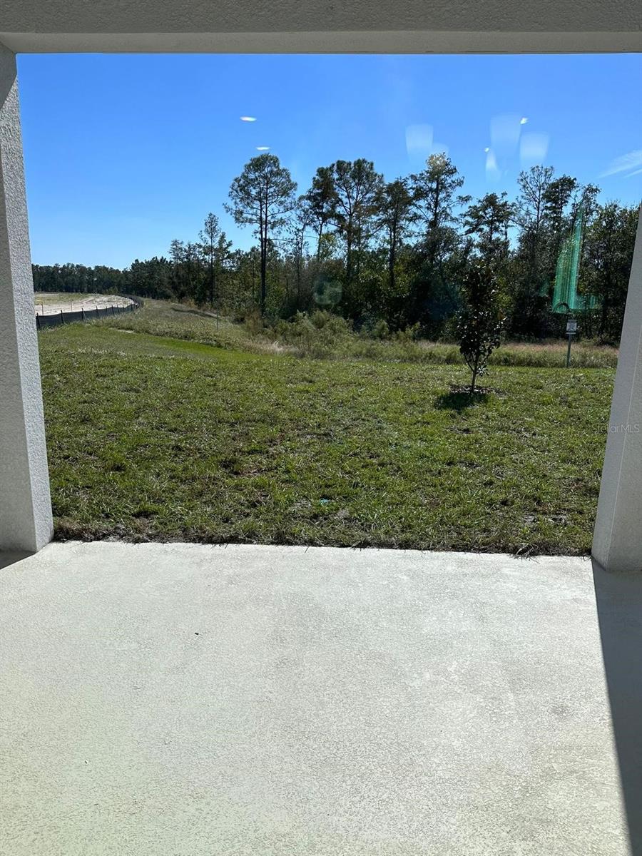 16553 Brook Isle Way Property Photo 15