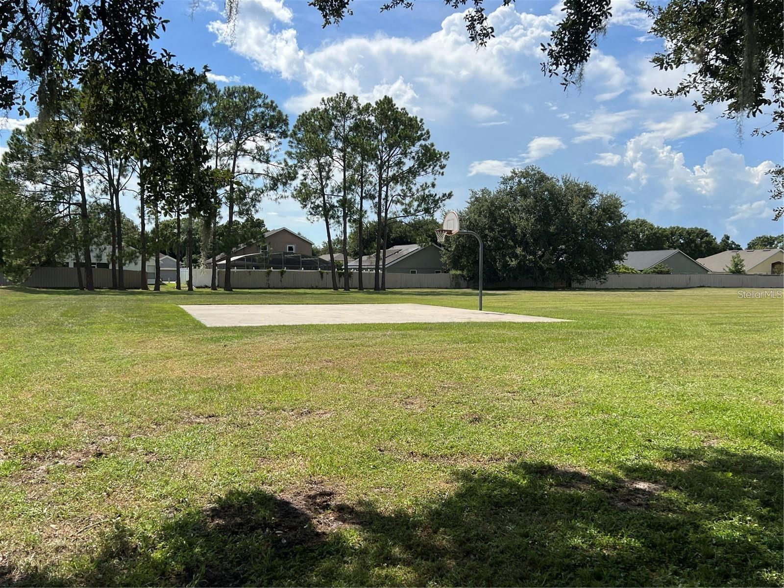 10172 Windermere Chase Blvd Property Photo 34