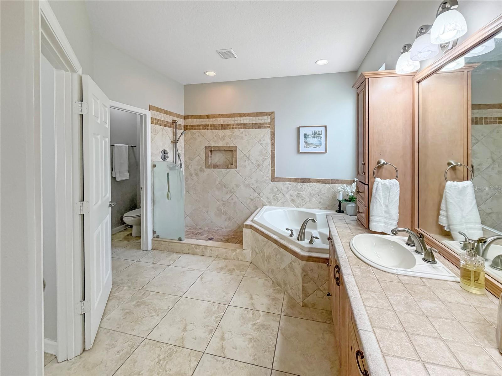10172 Windermere Chase Blvd Property Photo 51