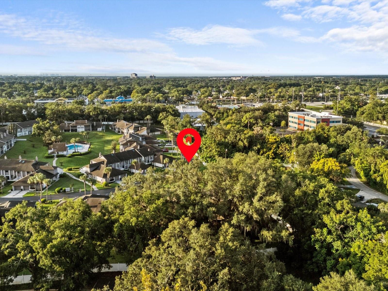 155 Olive Tree Cir #0 Property Photo 6