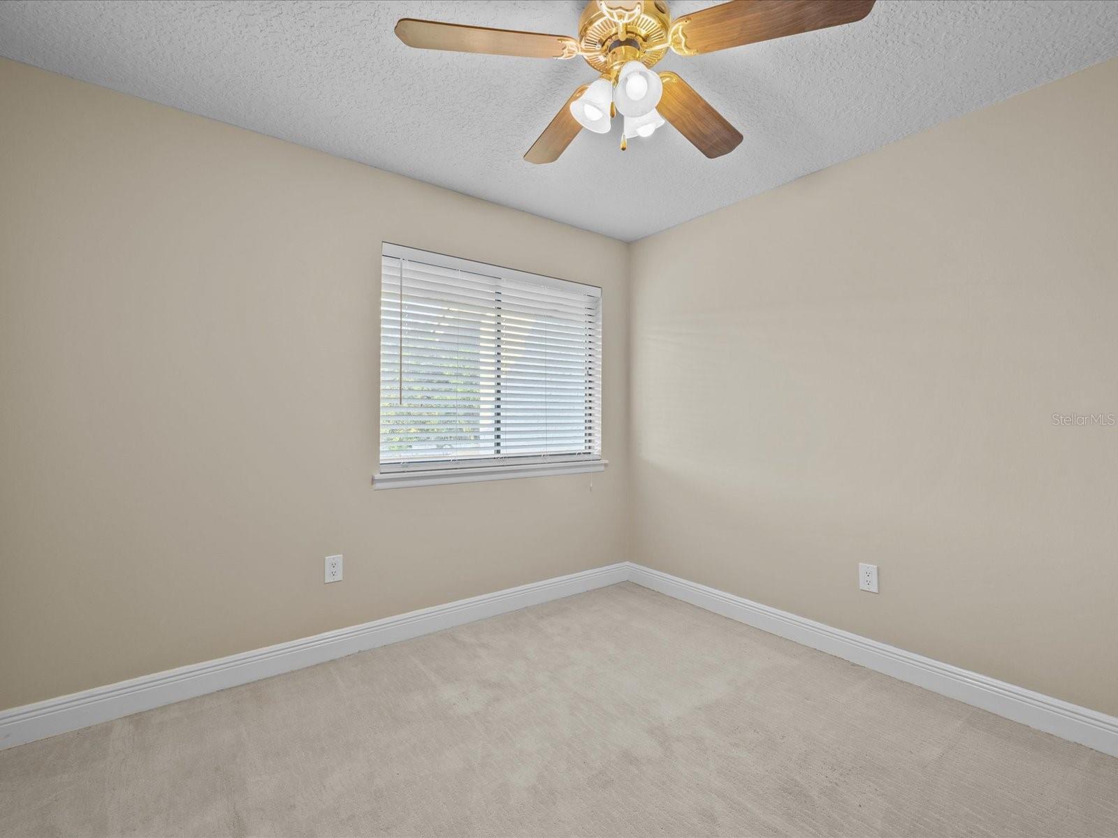 155 Olive Tree Cir #0 Property Photo 22