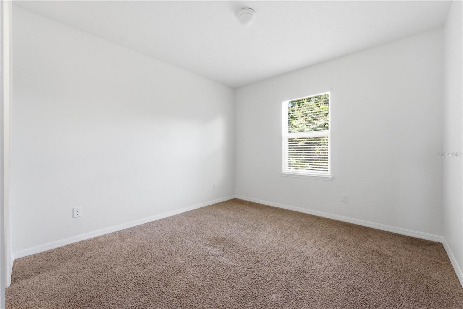 13786 Summer Harbor Ct Property Photo 38